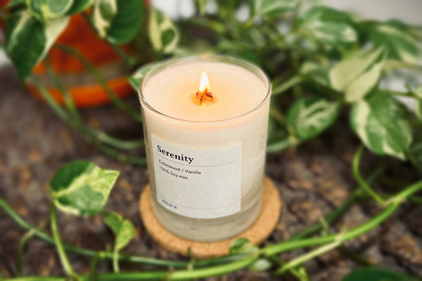 candle-2024-1_1_grande.jpg?v=